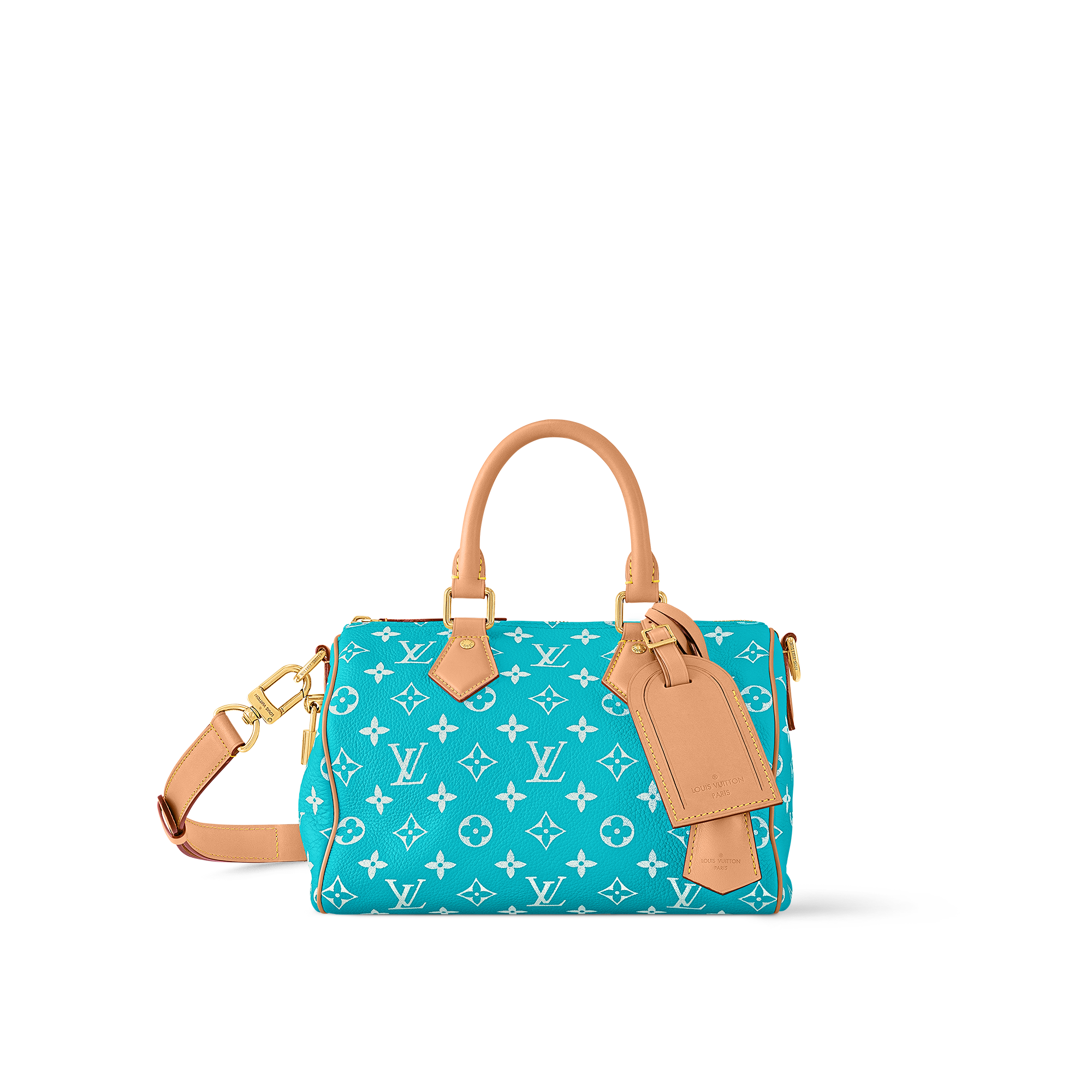 Lv bag speedy 25 sale